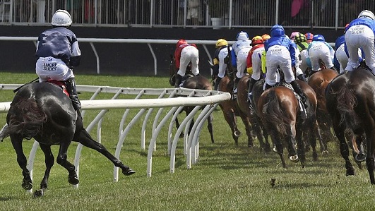 Horse Racing Betting In Australia| Understand The Details